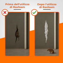 Carica l'immagine nel visualizzatore di Gallery, Raxfoam 500 ml, Schiuma Poliuretanica Espansa con Rete Inox