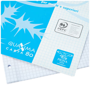 Pigna 02194595M, Ricambio con Banda Rinforzata, Rigatura 5M, quadretti 5 mm per medie e superiori, Carta 80g/mq, Pacco da 40 Fogli