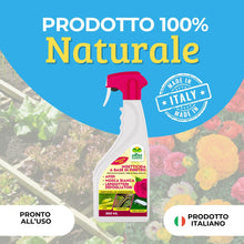 Carica l'immagine nel visualizzatore di Gallery, Albagarden Piretro Insetticida Piante Naturale - Elimina Afidi, Mosca Bianca, Moscerini E Lepidotteri - Rapida Azione Ab
