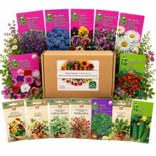 Carica l'immagine nel visualizzatore di Gallery, Nojus - Set di semi per giardino da terrazza - 15 varietà - Semi di fiori, erbe aromatiche e ortaggi per balconi, terraz