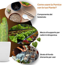 Carica l'immagine nel visualizzatore di Gallery, GebEarth® | Pomice per piante fine da 3/6 mm【1 L 】| Migliora la salute radicale di Bonsai e Piante Grasse | Leggera e ad