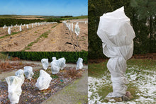 Carica l'immagine nel visualizzatore di Gallery, 2 Pezzi Cappuccio Protezione Piante, Protezione Invernale Piante, Sacco di Protezione Invernale, Protezione Piante dal F