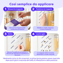 Carica l'immagine nel visualizzatore di Gallery, Wolkenfeld Trappole Farfalline Alimentari Adesive 10x – Antitarme Alimentari con Feromoni – Monitoraggio Dispensa e Cuci