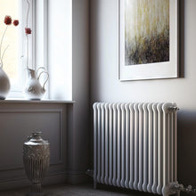 Carica l'immagine nel visualizzatore di Gallery, MAXMEYER Diretto Termosifoni Opaco R9010 Bianco 0.5 L
