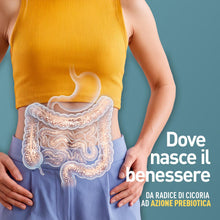 Carica l'immagine nel visualizzatore di Gallery, LongLife® Inulin Powder | Inulina da radice di cicoria | Regolarità intestinale | Fibra solubile | Benessere flora batte