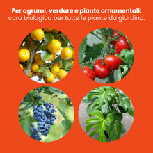 Carica l'immagine nel visualizzatore di Gallery, LERAVA® Lupini macinati (3,6 kg) - concime limoni biologico - acidificante suoli naturale - azione rapida per agrumi - m