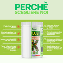 Carica l'immagine nel visualizzatore di Gallery, Fitokem K Plus Bicarbonato di Potassio per Piante 1KG Fertilizzante Concime Orto Giardino Alberi da Frutto Universale Fu