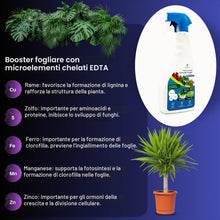 Carica l'immagine nel visualizzatore di Gallery, GebEarth® | Rame e Zolfo Per Piante Spray 1L | Integratore per Piante contro Ingiallimenti, Carenze, Macchie Brune, Oidi