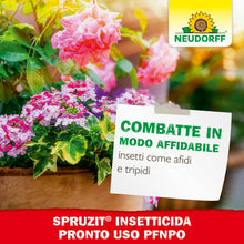 Carica l'immagine nel visualizzatore di Gallery, Neudorff Spruzit Insetticida Pronto Uso PFnPO – Combatte parassiti come mosche bianche, cocciniglie a scudo, cocciniglie