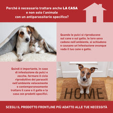 Carica l'immagine nel visualizzatore di Gallery, Frontline Homegard Spray Insetticida per l’Ambiente Domestico (250ml)