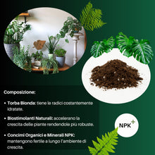 Carica l'immagine nel visualizzatore di Gallery, GebEarth® | Terriccio per Piante Verdi | Nutrimento Prolungato e Crescita Sana | Ideale per Monstera, Photos, Dracaena e