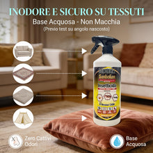 Carica l'immagine nel visualizzatore di Gallery, Insetticida Multinsetto Uno Contro Tutti Azione Abbattente Repellente Formato 750ml + 250ml Gratis