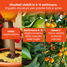 Carica l'immagine nel visualizzatore di Gallery, LERAVA® Lupini macinati (3,6 kg) - concime limoni biologico - acidificante suoli naturale - azione rapida per agrumi - m