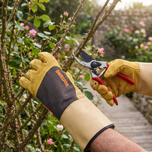 Carica l'immagine nel visualizzatore di Gallery, ROSTAING Guanti Antispine Pelle Rovi Rose Giardinaggio EN 388