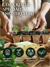 Carica l'immagine nel visualizzatore di Gallery, HERBAL AGE Semi Piante Aromatiche Kit Giardinaggio, 12 Erbe Aromatiche Kit Semi Orto, 8700 semi, Lattuga, Prezzemolo, An