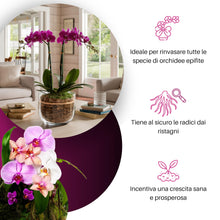 Carica l'immagine nel visualizzatore di Gallery, GebEarth® - Terriccio per Orchidee, Substrato per Orchidee da 1 Litro【 Terriccio Professionale per tutte le Orchidee 】