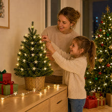 Carica l'immagine nel visualizzatore di Gallery, Liyade Catena Luminosa Stelle 1 m 20 LED, Timer 6H/18H, Batterie