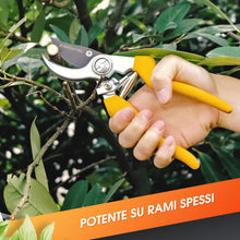 Carica l'immagine nel visualizzatore di Gallery, GRÜNTEK Forbici da Giardino Professionali Cesoie da Potatura Giardino 21cm Utensile da Giardino Giallo Gyrfalke