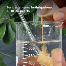 Carica l'immagine nel visualizzatore di Gallery, GreenCulture Amino Biotic per Piante 100 ml - Coadiuvante con Estratti di Lieviti, Acidi Nucleici e Proteine - da Diluir