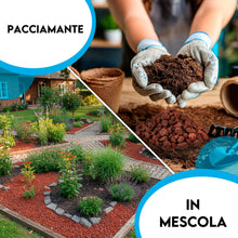 Carica l'immagine nel visualizzatore di Gallery, ZOMA VULC Lapillo vulcanico per piante 10/16 mm, migliora drenaggio e composizione del substrato, Ideale per bonsai, pia