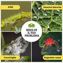 Carica l'immagine nel visualizzatore di Gallery, Albagarden - Olio Bianco Vegetale Di Soia Per Cocciniglia, Afidi, Mosca Bianca, Insetti - Olio Vegetale Di Soia 100% - C