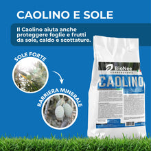 Carica l'immagine nel visualizzatore di Gallery, Caolino corroborante potenziatore difese naturali MOSCA DELL'OLIVO (1 kg)
