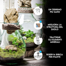 Carica l'immagine nel visualizzatore di Gallery, ZOMAGARDEN - Carbone Vegetale per Piante - Fertilizzante e Inerte Naturale per Migliorare il Suolo - Ideale per Orchidee