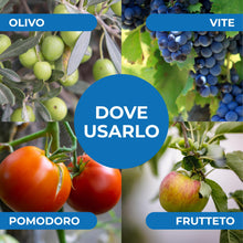 Carica l'immagine nel visualizzatore di Gallery, Caolino corroborante potenziatore difese naturali MOSCA DELL'OLIVO (1 kg)