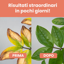 Carica l'immagine nel visualizzatore di Gallery, LERAVA Ferro Chelato per Piante (200 g) - Rinverdente Contro Clorosi Ferrica - Chelato di Ferro per Piante - Soluzione P