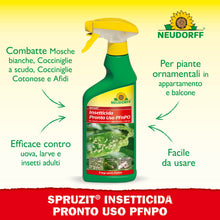 Carica l'immagine nel visualizzatore di Gallery, Neudorff Spruzit Insetticida Pronto Uso PFnPO – Combatte parassiti come mosche bianche, cocciniglie a scudo, cocciniglie