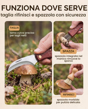 Carica l'immagine nel visualizzatore di Gallery, Coltello per Funghi con Spazzola, Kit 2 Pezzi in Legno di Pero e Zucca Naturale, Lama Curva Affilata per Raccolta Sosten