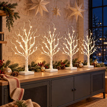Carica l'immagine nel visualizzatore di Gallery, Set di 4 alberi di luci con 24 LED bianco caldo, betulla con funzione timer, funzionamento a batteria, decorazione natal