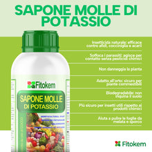 Carica l'immagine nel visualizzatore di Gallery, Fitokem Sapone Molle di Potassio 1lt e Olio di Neem 1lt Kit Protezione Piante Corroborante Naturale per Orto e Giardino 
