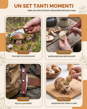 Carica l'immagine nel visualizzatore di Gallery, Coltello per Funghi con Spazzola, Kit 2 Pezzi in Legno di Pero e Zucca Naturale, Lama Curva Affilata per Raccolta Sosten