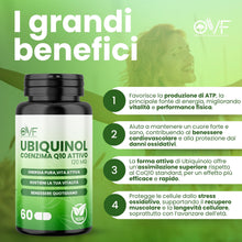 Carica l'immagine nel visualizzatore di Gallery, OVF Coenzima Q10 Attivo Ubiquinolo 120mg, 60 Capsule Vegetali, per Vitalità e Benessere, Coenzyme Q10 Integratore Alta B