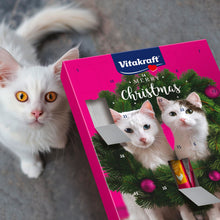 Carica l'immagine nel visualizzatore di Gallery, Vitakraft Calendario dell'Avvento 2026,snack gatti,attesa Natale (1x 363 g)
