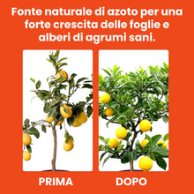Carica l'immagine nel visualizzatore di Gallery, LERAVA® Lupini macinati (3,6 kg) - concime limoni biologico - acidificante suoli naturale - azione rapida per agrumi - m