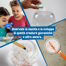 Carica l'immagine nel visualizzatore di Gallery, Science4you Creature Marine Giurassiche per Bambini di 6+ Anni - Creare un Ecosistema per Draghi d'Acqua Animali Acquati
