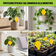 Carica l'immagine nel visualizzatore di Gallery, OLLIE Trappola per Moscerini delle Piante, 30 Trappole Cromotropiche Gialle
