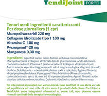 Carica l'immagine nel visualizzatore di Gallery, Fidia Farmaceutici TendiJoint FORTE - 20 Compresse, Integratore Alimentare Senza Glutine e Lattosio