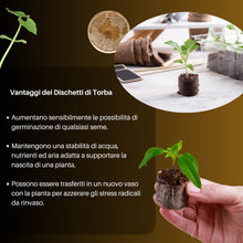 Carica l'immagine nel visualizzatore di Gallery, GebEarth® | Dischetti di Torba per Germinazione | Confezione da 24 pz di Dischetti di Torba | Ideali per Far Germinare T