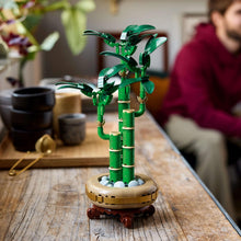 Carica l'immagine nel visualizzatore di Gallery, LEGO Botanicals Bambù del Buon Auspicio, Pianta Artificiale da Arredamento Interno con Vaso Finto, Decorazione di Casa o Ufficio, Idea Regalo per Donna, Uomo e Adulti dalla Botanical Collection 10344