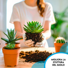 Carica l'immagine nel visualizzatore di Gallery, ZOMA Torba acida di sfagno Ph 3,5 qualità Superiore - Torba per piante estratta dalle torbiere baltiche, Ideale pura o i