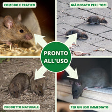 Carica l'immagine nel visualizzatore di Gallery, Gardemia Disabituante Anti Topi e Ratti 750ml Spray Azione Naturale Barriera Vegetale Disabitua Roditori Interni Esterni