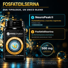 Carica l'immagine nel visualizzatore di Gallery, Fosfatidilserina pura 500mg - NeuroPeak® - fosfatidilserina cortisolo, cortisolo integratore, memoria e concentrazione, 