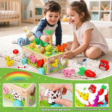 Carica l'immagine nel visualizzatore di Gallery, Giochi Montessori 1 Anno, 6-in-1 Giochi Montessori 2 Anni, Magnetici Di Pesca in Legno, Abilità Motorie Giocattoli Educa