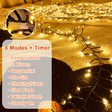 Carica l'immagine nel visualizzatore di Gallery, Catena Luminosa da Esterno 3 metri 150LED Luci Decorative a Grappolo Elettrica 31V con Timer, Luci Natale Esterno e Inte