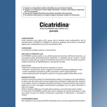 Carica l'immagine nel visualizzatore di Gallery, FARMA-DERMA Cicatridina Pomata 60g Acido Ialuronico Sale Sodico 0,2% | Riparazione Barriera Cutanea | Irritazioni, Arros