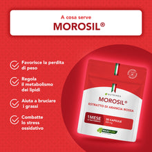 Carica l'immagine nel visualizzatore di Gallery, Morosil® 400 mg | 30 Capsule Vegane | Nutrimea