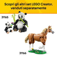 Carica l'immagine nel visualizzatore di Gallery, LEGO Creator 3 in 1 Animali Selvatici: Tucano Tropicale con Fiore - Animale Giocattolo Trasformabile in Farfalla o Pesce Tropicale - Regalo Creativo per Bambine e Bambini da 7 Anni in su - 31173